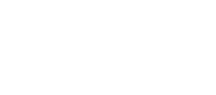 North Somerset Council
